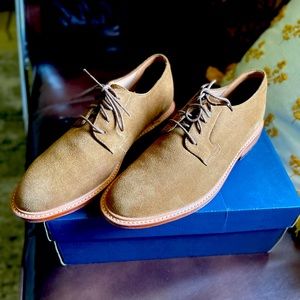 Bostonian Suede Lace-Up